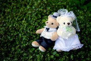 結婚ビザ、離婚後のビザ変更